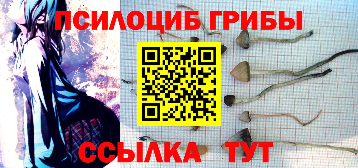 дарнет шоп  Вход с VPN  Псилоцибиновые грибы мицелий  Корсаков  Псилоцибиновые грибы Cubensis 