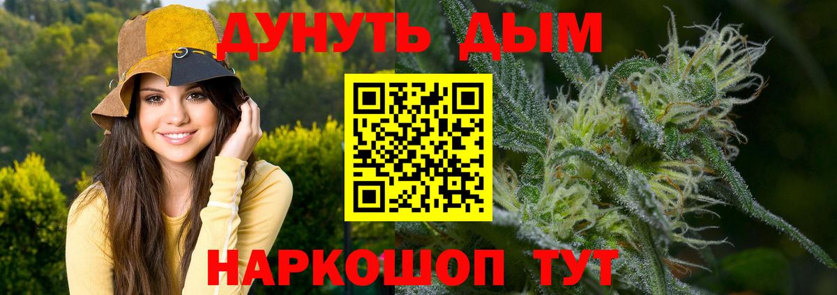 МАРИХУАНА сатива Корсаков